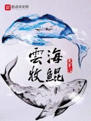 云海牧鲲封面