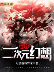 最终二次元幻想封面