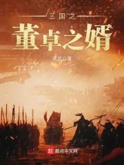 三国之董卓之婿封面