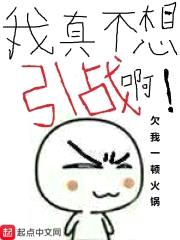 我真不想引战啊封面