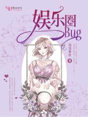 娱乐圈bug封面