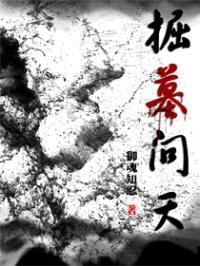 掘墓问天封面