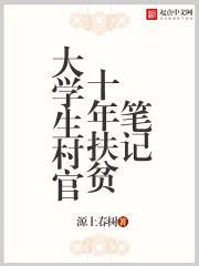 大学生村官十年扶贫笔记封面