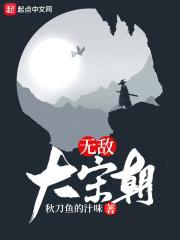 无敌大宋朝封面