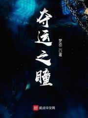 夺运之瞳封面