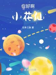 你好啊小花仙封面
