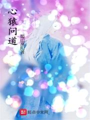 心猿问道封面