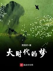 大时代的梦封面