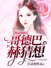 我是你的哥德巴赫猜想封面