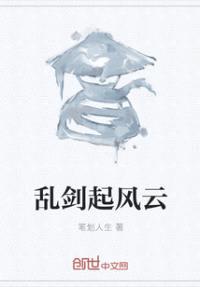 乱剑起风云封面