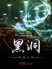 黑洞科技公司封面