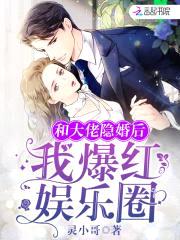 隐婚甜蜜蜜：总裁，超疼爱封面