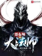 哥布林大法师封面