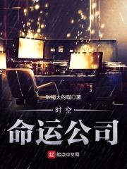 时空命运公司封面