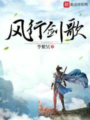 风行剑歌封面