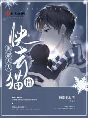 影帝大人快去撸猫封面