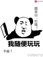 我随便玩玩封面