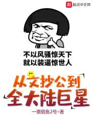 从文抄公到全大陆巨星封面