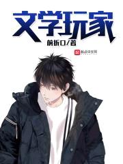 文学玩家封面