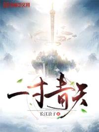 一寸青天封面