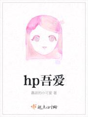 hp吾爱封面