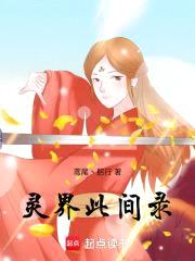 灵界此间录封面