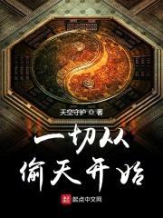 一切从偷天开始封面