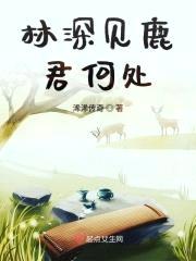 林深见鹿君何处封面