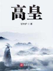 高皇封面