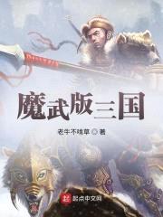魔武版三国封面