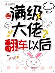 当满级大佬翻车以后封面