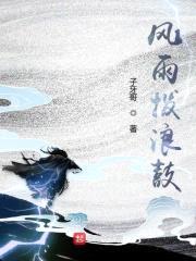 风雨拨浪鼓封面