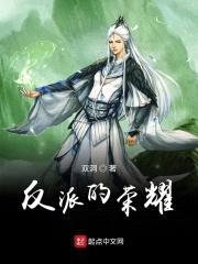 反派的荣耀封面