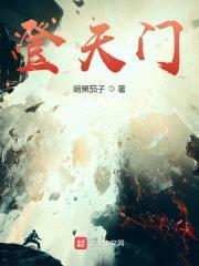 登天门封面