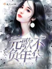 元歌不负年华封面