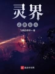 灵界之新纪元封面