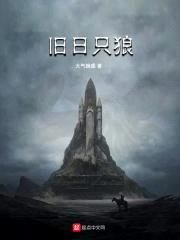 旧日只狼封面