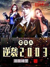 老实人逆袭2003封面