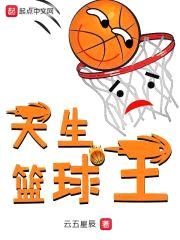 天生篮球王封面