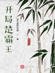 开局楚霸王封面