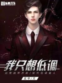 我只想低调封面