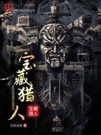 宝藏猎人封面