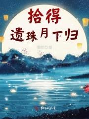 拾得遗珠月下归封面