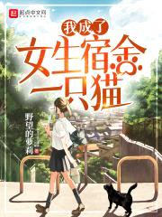 我成了女生宿舍一只猫封面