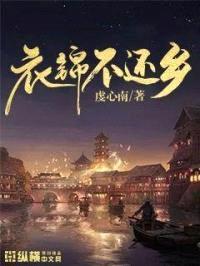 衣锦不还乡封面