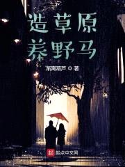 追九腿从打江山开始封面