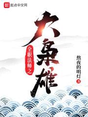 全职法师之大枭雄封面