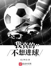 我真的不想进球封面