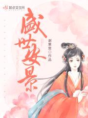 盛世安景封面