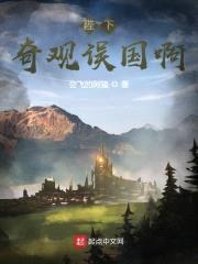陛下，奇观误国啊！封面